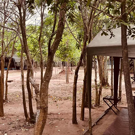 Big Game - Wilpattu By Eco Team Hotel Buitenkant foto