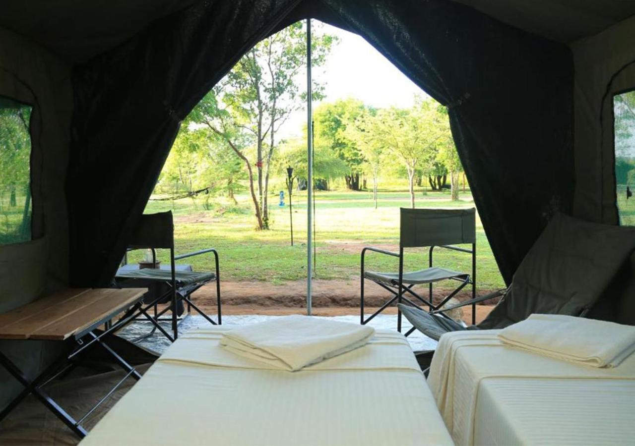 Luxury tent Big Game - By Eco Team 3*