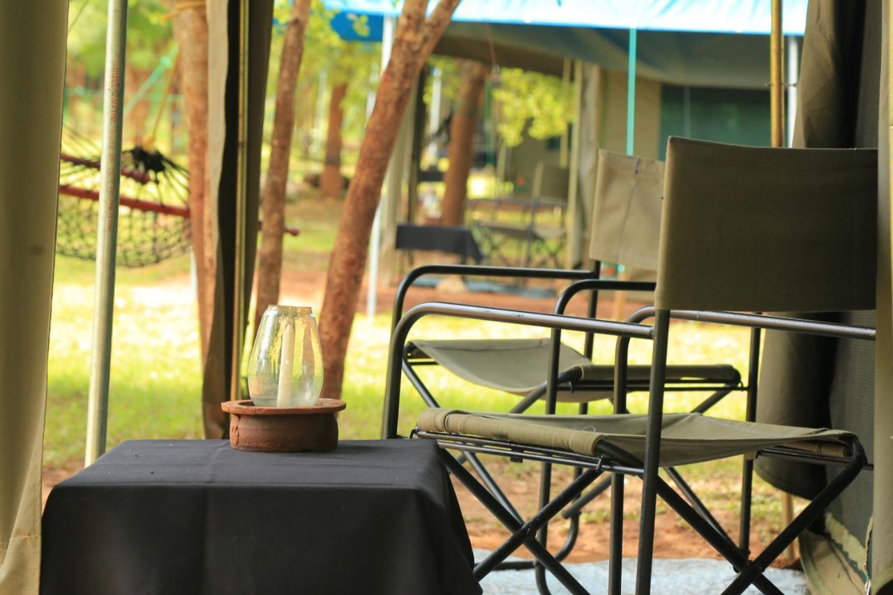 Luxury tent Big Game - By Eco Team Wilpattu