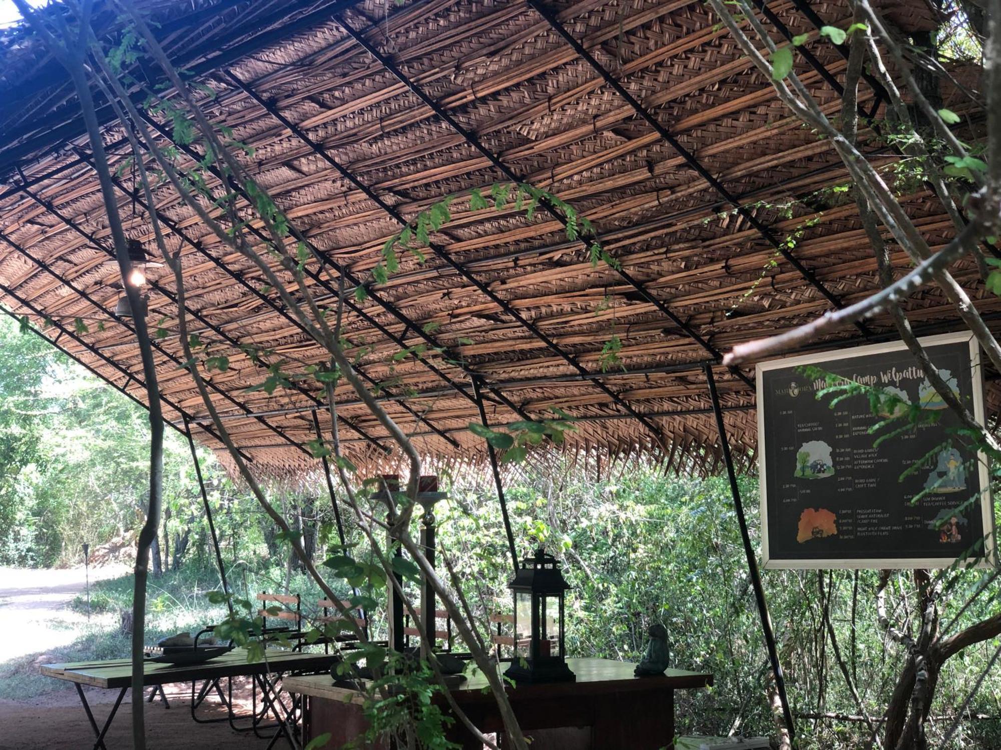 Big Game - By Eco Team Wilpattu