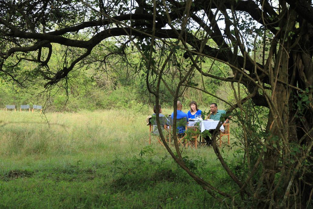 Luxury tent Big Game - By Eco Team