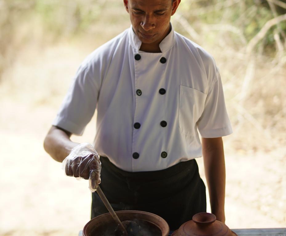 Big Game - By Eco Team Luxury tent Wilpattu
