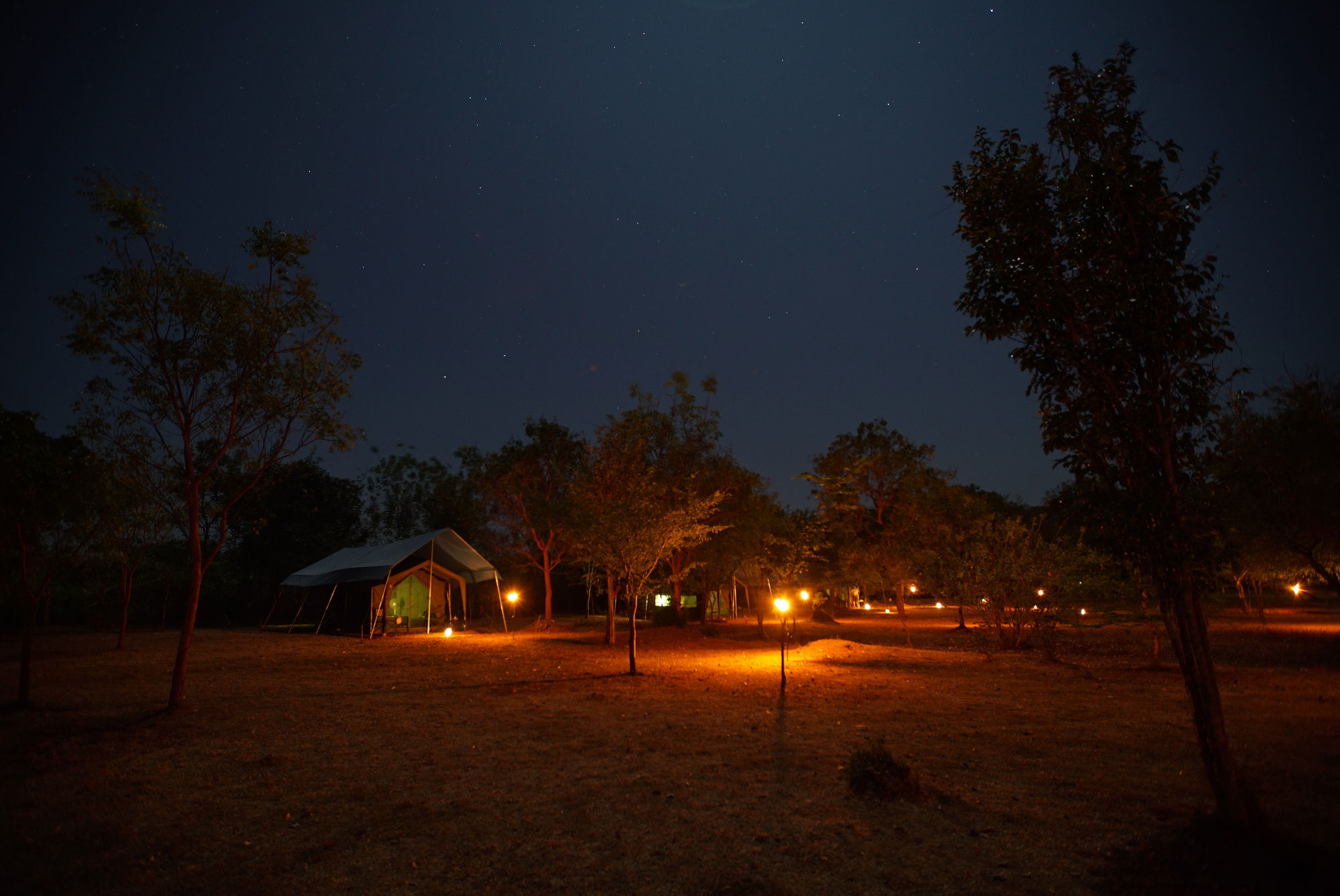 Luxury tent Big Game - By Eco Team Wilpattu